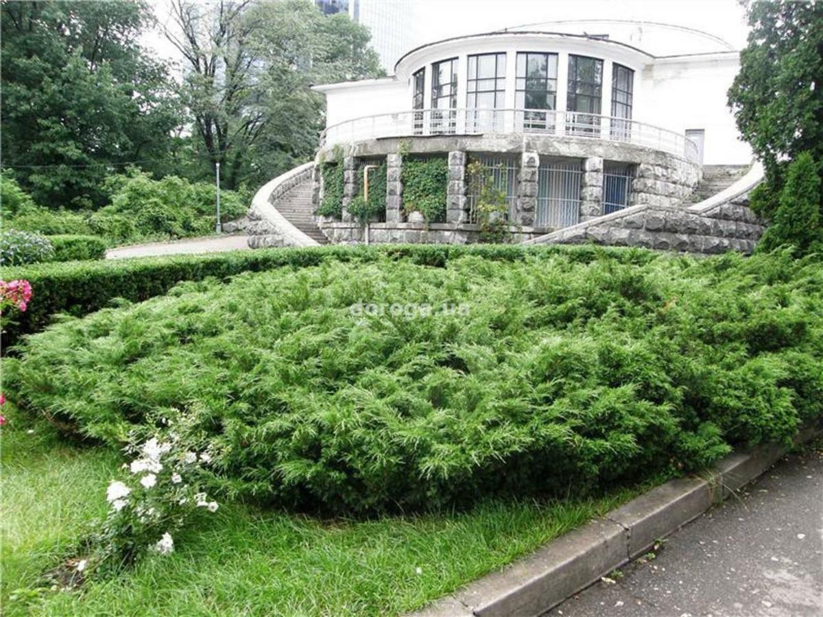 Kyiv Top Location 60M2 Apt In Old City Fast Wifi Selfchekin 外观 照片